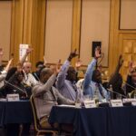 Representatives vote on the action plan