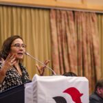 Lú Varjão