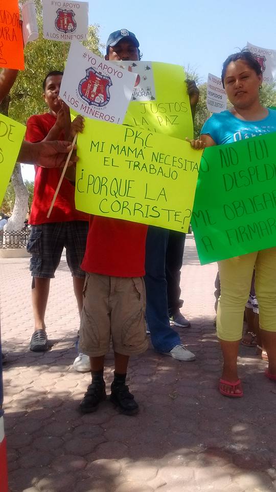 Юный участник мирной демонстрации, организованной Los Mineros, требует восстановить его маму на работе