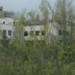 Некогда оживленный город Припять, расположенный рядом с Чернобыльской АЭС, теперь полностью зарос деревьями и кустарником.