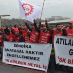 Члены Birleşik проводят акцию протеста около консульства Кореи