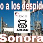 Плакат профсоюза, посвященный проблеме уволенных рабочих на заводе Apasco, принадлежащем LafargeHolcim 